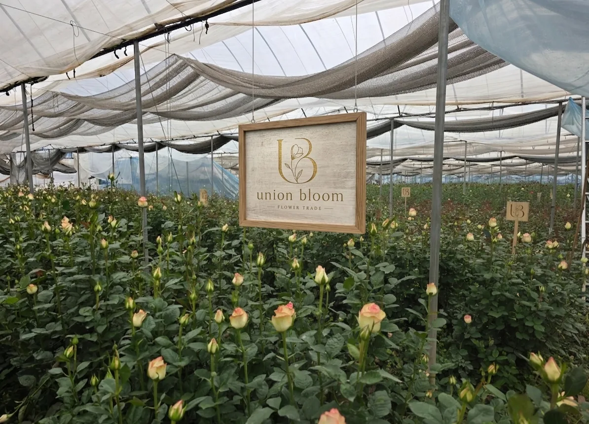 Union Bloom greenhouse production base